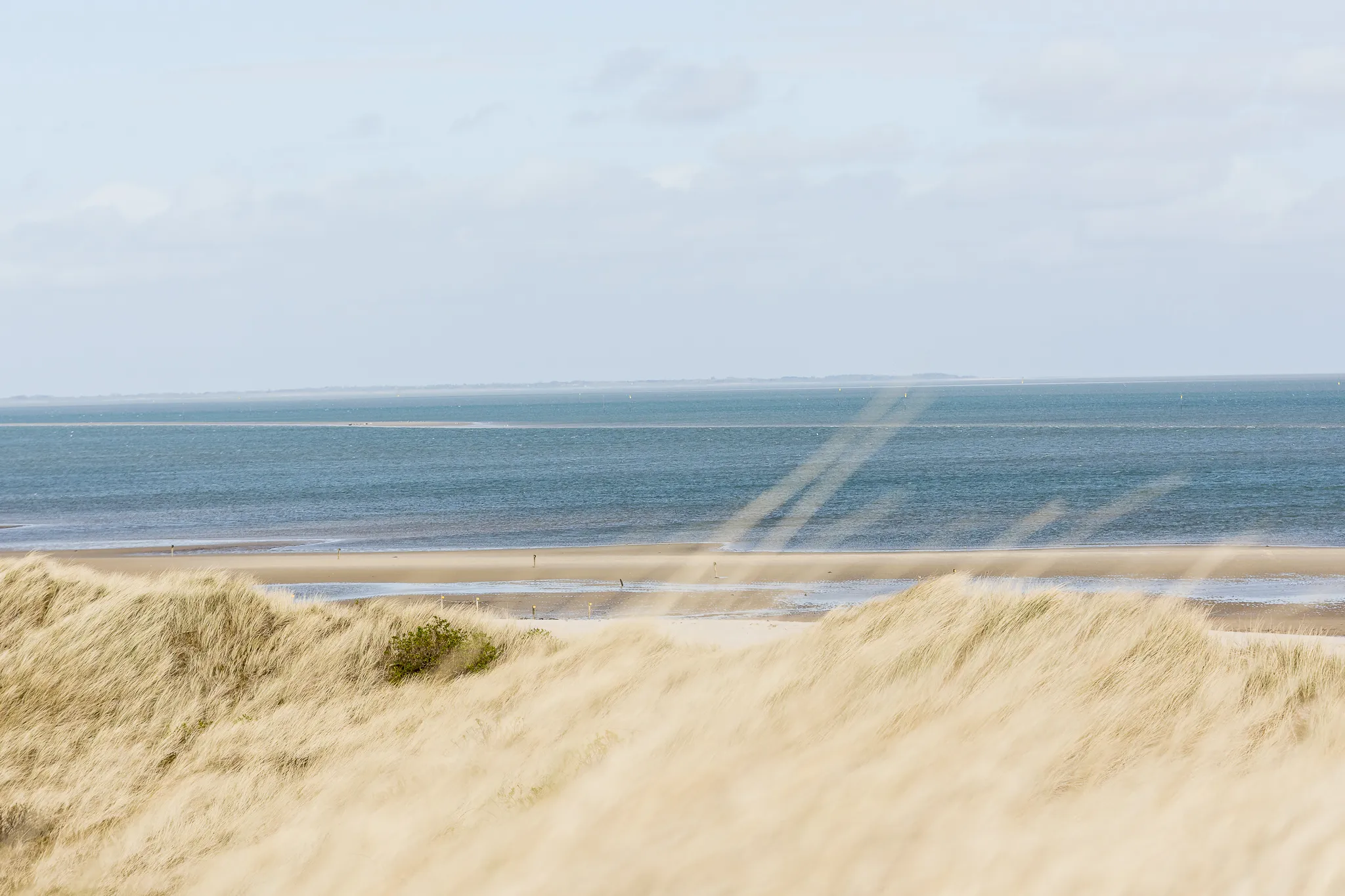 Möwennest Kitespot Sylt